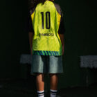 Verde Tigrada CST